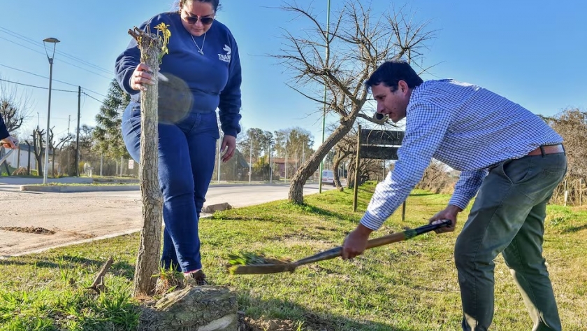 Semana del Árbol: un municipio entrerriano lleva adelante la plantación de 100 árboles de diferentes especies