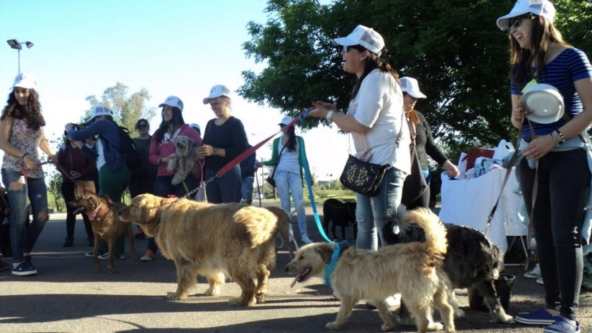 Segunda Caminata Canina para concientizar sobre el cuidado animal