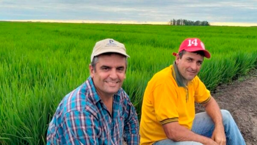 El entrerriano Víctor Odiard se cansó de pagar fortunas para regar y mudó su siembra de arroz a Corrientes
