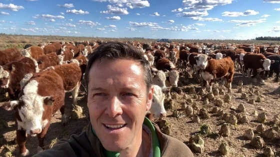 Remolacha forrajera: el cultivo que transformó un campo y permite producir carne a solo US$0,50 el kilo