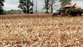 Agricultores esperan reactivar la economía en 2021 pese a la crisis y la sequía crecemos juntos
