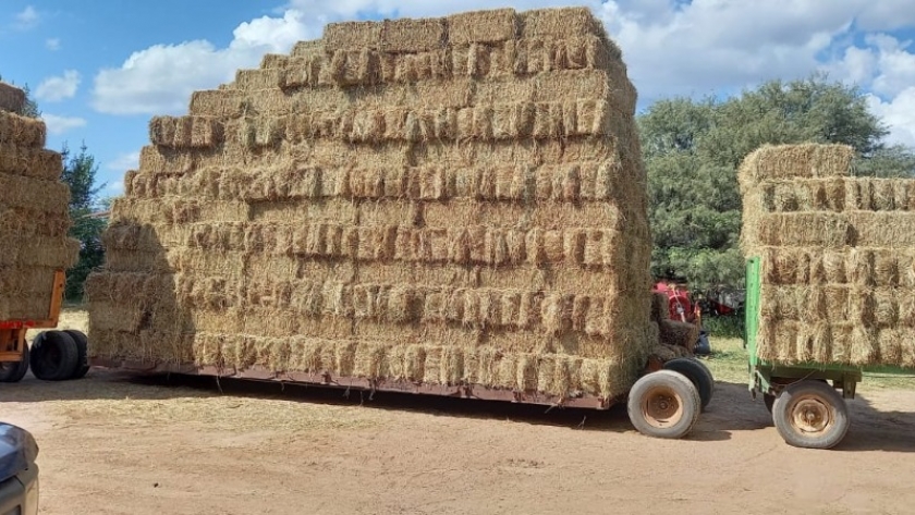 Alfa y Rioja Vial incentivan el trabajo de emprendedores agrícolas