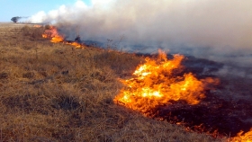 En la región centro, hay casi 3 millones hectáreas en riesgo de incendios