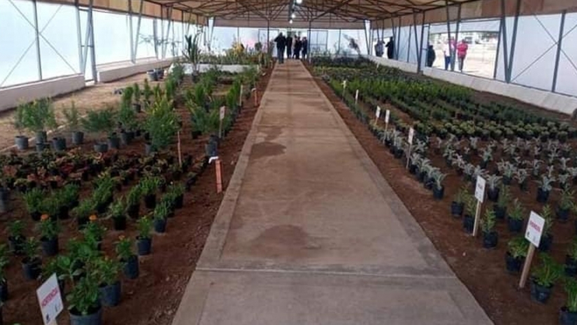 Inauguración de Vivero Forestal en la Ciudad de Frías