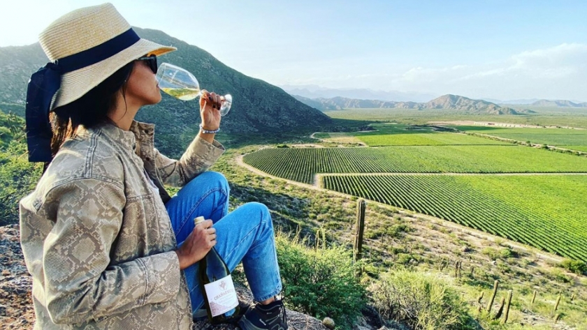 La Rioja participó de la nueva reunión del "Producto Turístico-Vinos del Noroeste Argentino"