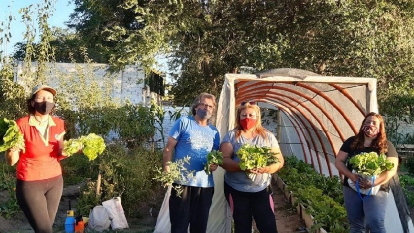 Programa Invernaderos: familias de Choele Choel ya disfrutan de la primera cosecha