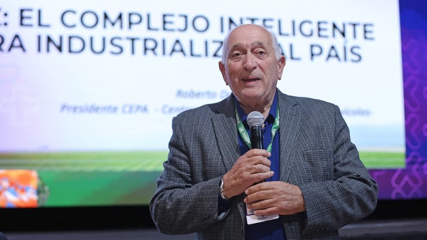 El maíz como motor de desarrollo: una cadena de valor que impulsa a la industria avícola argentina