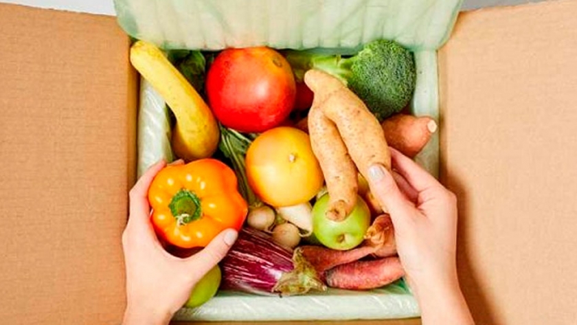 En respuesta a Covid-19, países de Iberoamérica, la SEGIB y el IICA impulsan cooperación con foco en seguridad alimentaria