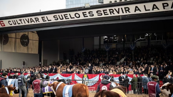 Rebaja de retenciones: una apuesta estratégica del Gobierno para reimpulsar al agro argentino