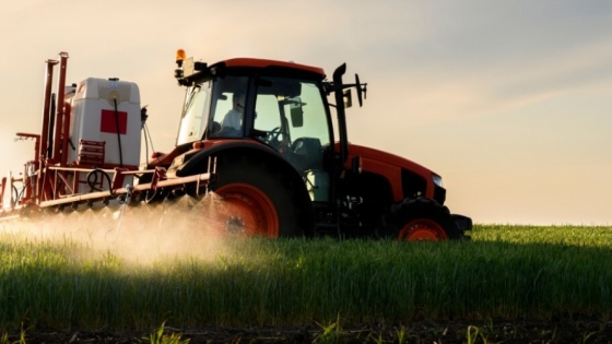 Optimismo en el mercado: el agro y la baja del riesgo país marcan un inicio de año positivo