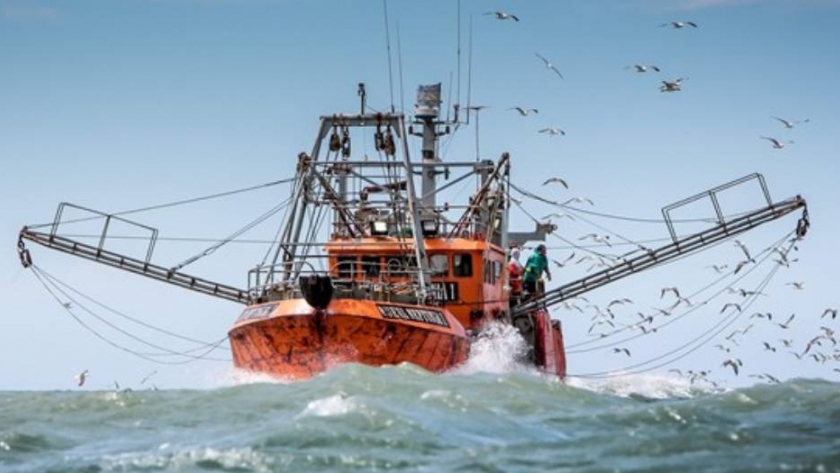 La industria pesquera sorprende y espera un 2021 a puro dólar