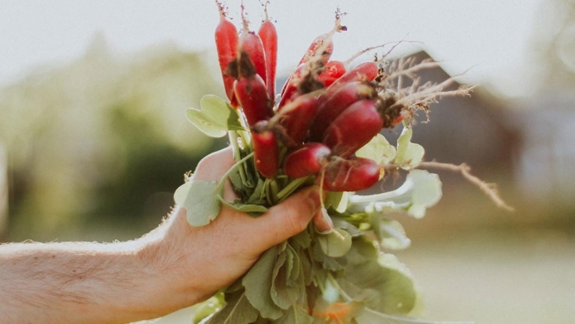 El verdadero costo del descuido nutricional y cómo la agricultura regenerativa puede inclinar la balanza
