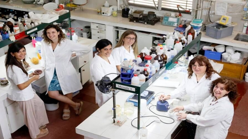 Desarrollan un coagulante vegetal a partir de flores de alcaucil
