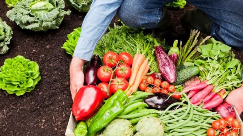 El consumidor chileno valora más los alimentos sanos y sustentables