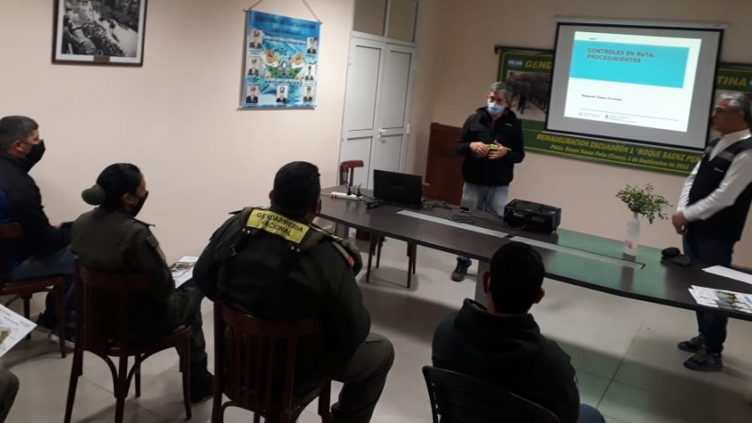 Actualización a Gendarmería Nacional sobre la documentación requerida para trasladar vegetales