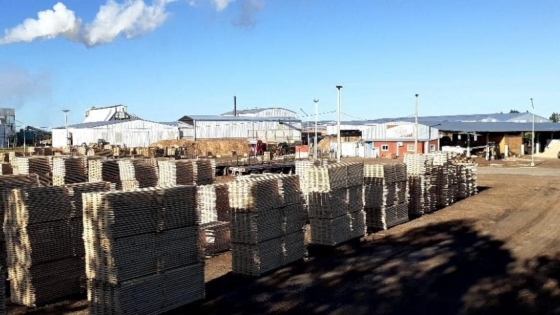 Primera exportación a Estados Unidos de madera industrializada en el Parque Forestoindustrial Santa Rosa