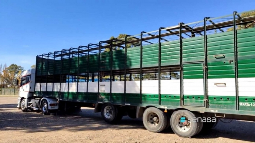 El Senasa lanzó plan de verificación de transportes para mejorar trazabilidad en la ganadería