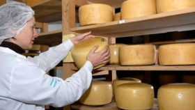 Con apoyo japonés, Tandil se pone a trabajar para consolidar el queso banquete