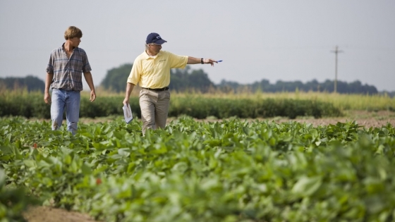 <Optimismo y desafíos en el agro: crece la intención de inversión y se enfrentan incertidumbres productivas