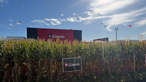 Con nueve híbridos en el stand, Illinois exhibe su portfolio completo de maíz en el Congreso Aapresid