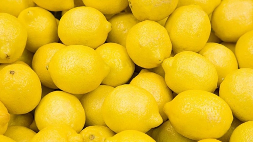 Los limones argentinos ya han partido rumbo a los mercados internacionales