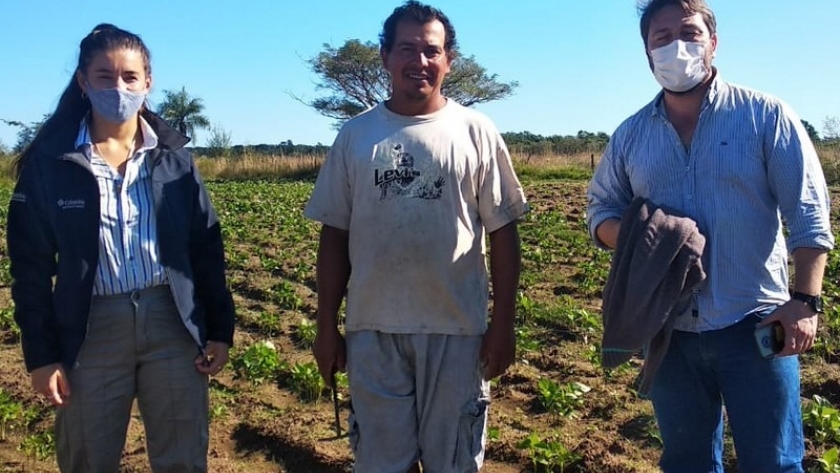 Fortalecimiento de las Buenas Prácticas Agrícolas en Bella Vista