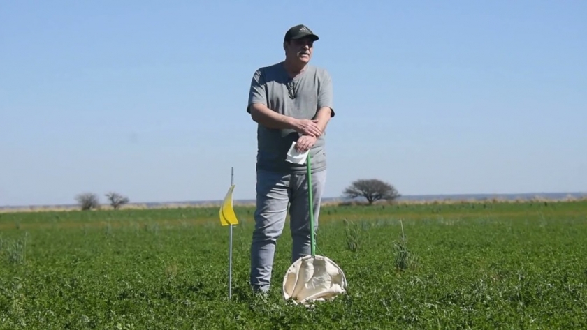 Con buena participación de productores se realizó una nueva capacitación presencial sobre alfalfa