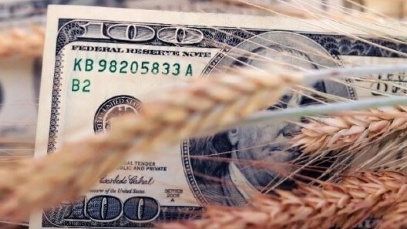Con el nuevo dólar para exportaciones, se dispararon los precios del trigo y del maíz