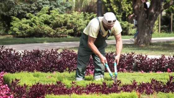 El Seminario de Jardinería Especial regresa con foco en arreglos florales y tendencias verdes