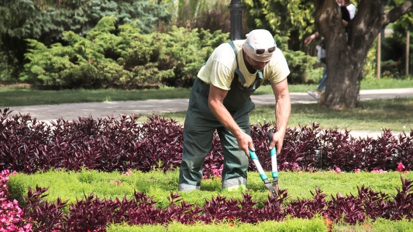 El Seminario de Jardinería Especial regresa con foco en arreglos florales y tendencias verdes