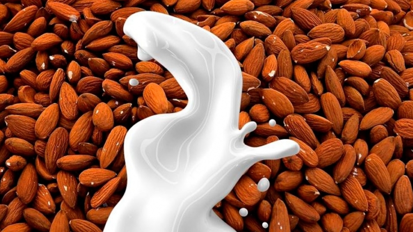 Leches vegetales, alternativas a la leche de vaca