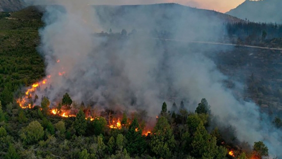 Incendio forestal en El Bolsón: cuatro focos activos y fuerte viento agravan la situación