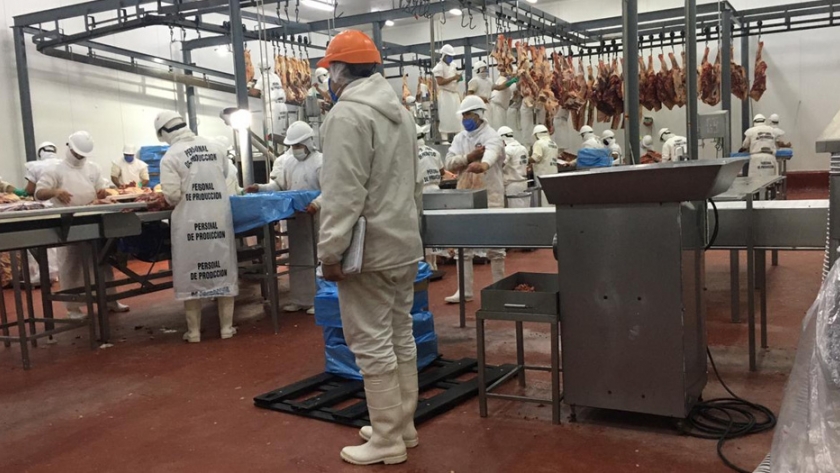 Supervisión a un frigorífico de Santiago del Estero que busca exportar carnes