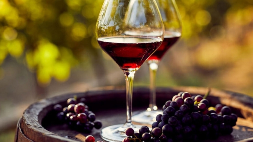 ¿Todos los vinos son veganos? Las claves para reconocerlos