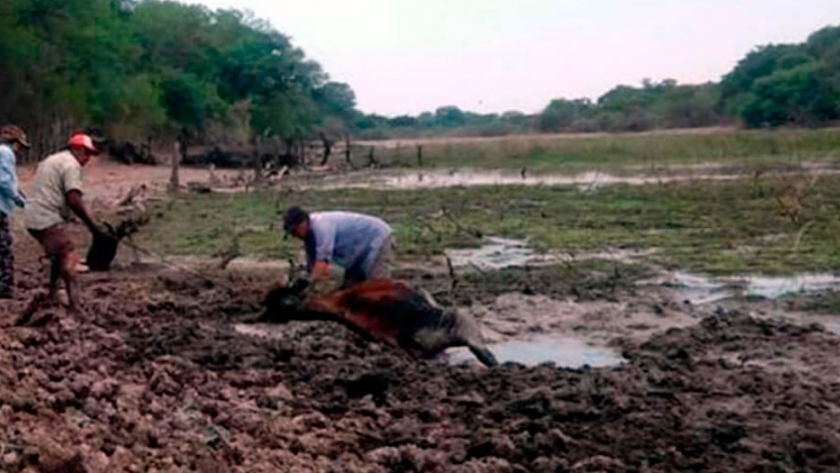 Santiago del Estero declarada bajo emergencia agropecuaria por el Ministerio de Agricultura