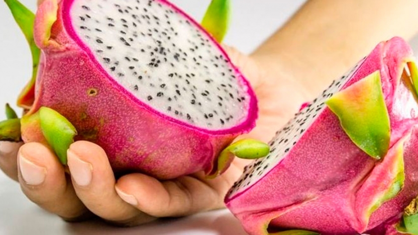Frutos jujeños buscan mercados en el exterior