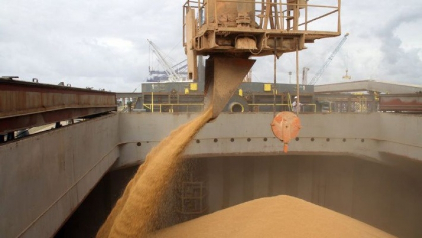 Cierre a las exportaciones de subproductos de soja