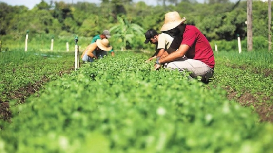 <Inauguraron una nueva colonia agroecológica en Tapalque