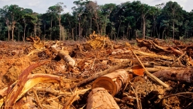 Aumenta la deforestación en tierras de tribus indígenas en la Amazonia brasileña
