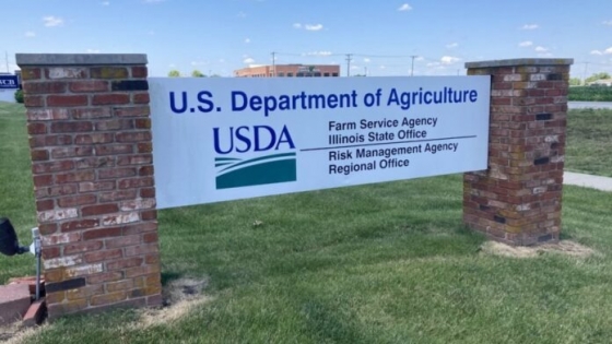 El USDA recortó la producción argentina de maíz y soja debido a la sequía