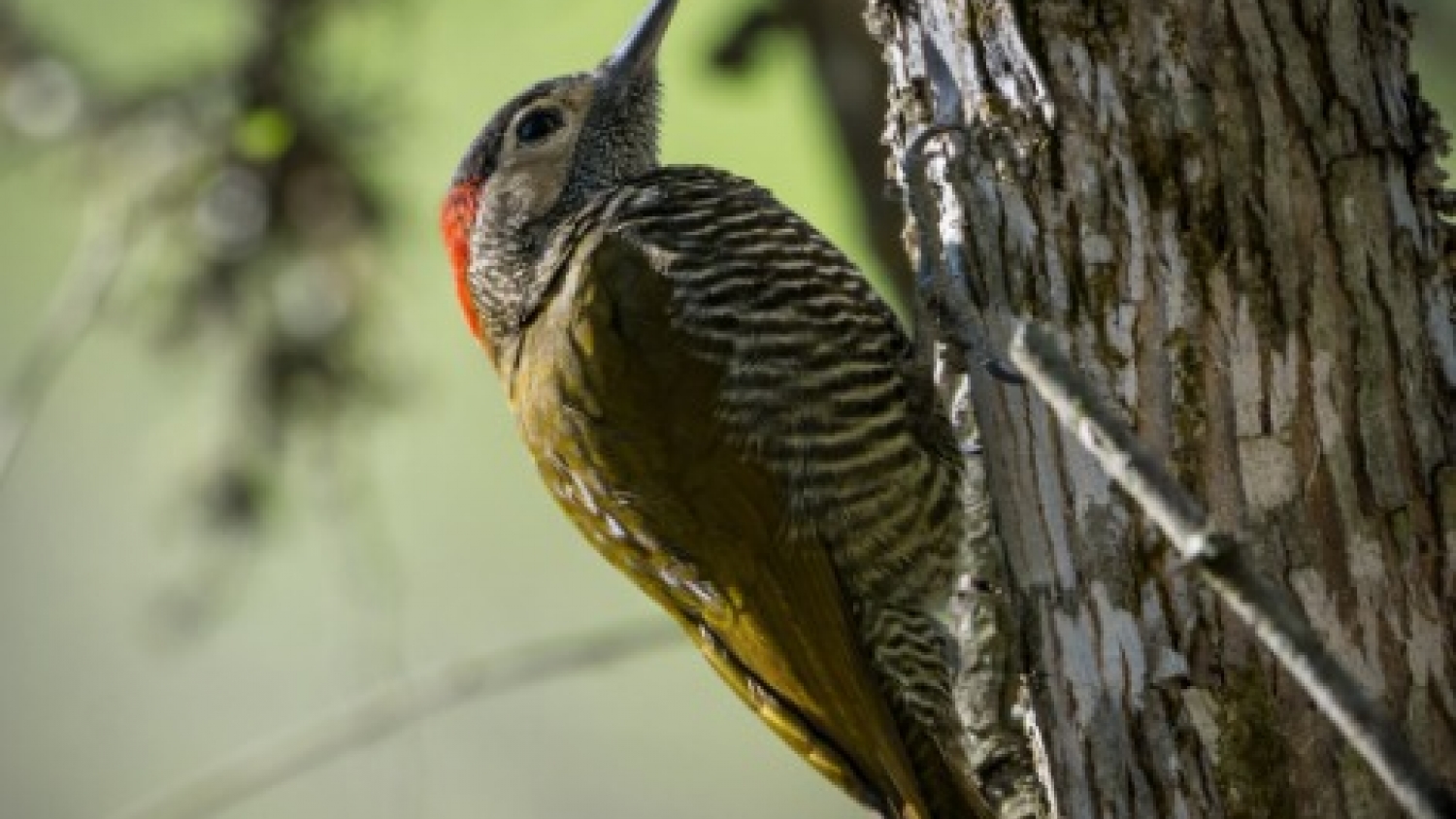 La creación de la Reserva Natural Huillapima impulsa el desarrollo económico y turístico en Catamarca