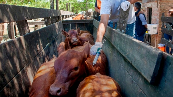 La faena de vacunos tuvo un fuerte crecimiento en abril