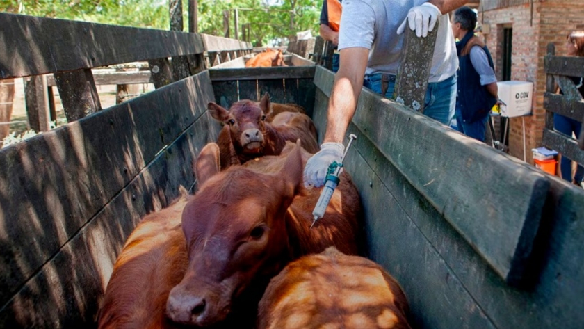 La faena de vacunos tuvo un fuerte crecimiento en abril