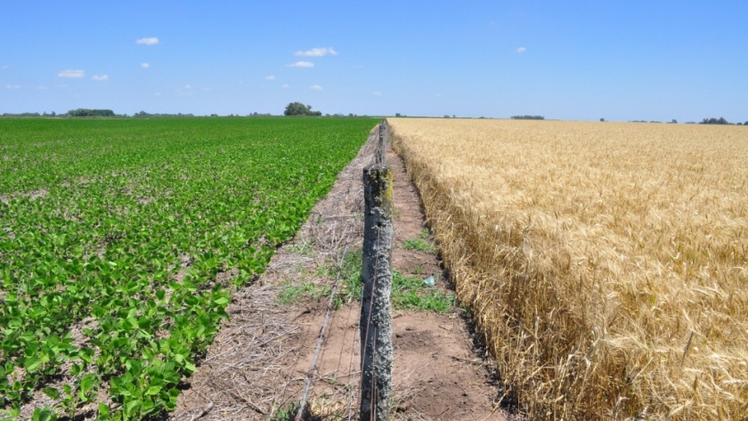 Argentina busca ganar espacio en Europa con el auge de los bioinsumos y la agricultura sustentable