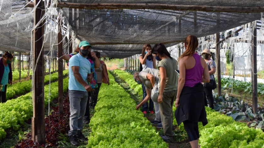 Hacia una certificación agroecológica popular