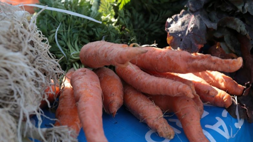 Arranca la Tercera Expo Frutihortícola del Chaco