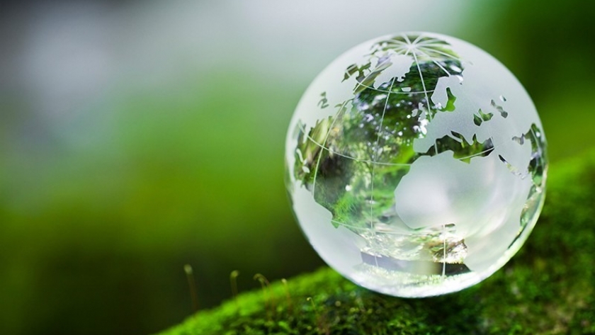 El impacto del cambio climático en el césped: desafíos y soluciones