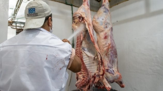 <El frigorífico de Justo Daract, una opción de faena para productores bovinos y porcinos locales