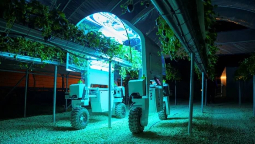Robots pandemials, agrícolas y antivirus 