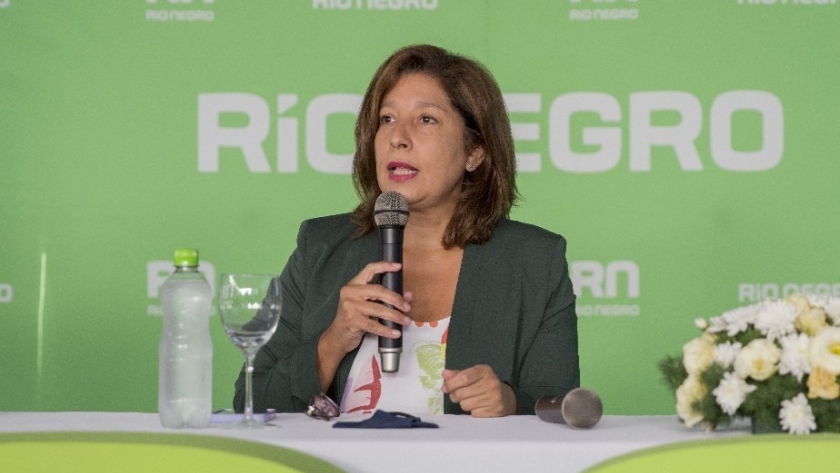 Hidrógeno Verde: ¿cuál será la función de la mesa de trabajo creada por la Gobernadora Carreras?